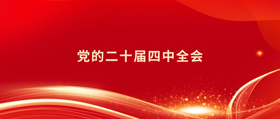 民航二所党委传达学习党的二十届四中全会精神